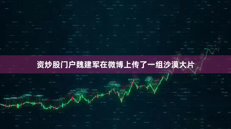 资炒股门户魏建军在微博上传了一组沙漠大片