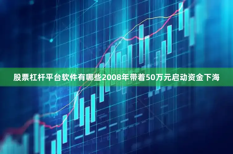 股票杠杆平台软件有哪些2008年带着50万元启动资金下海
